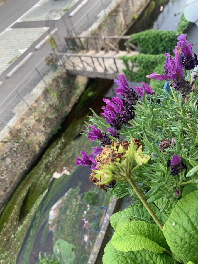 La Passerelle * Loguivy-Plougras